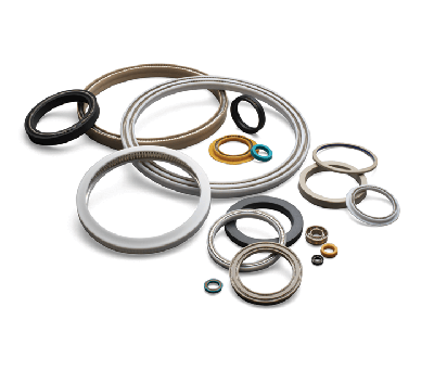 spring_energized_Seals