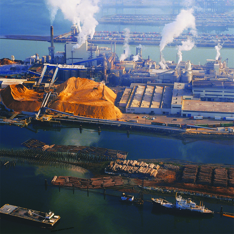 Industry_Pulp_Paper